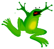 [Frog Image]