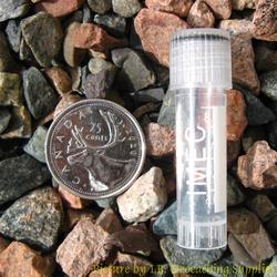 Plastic 2ml Nano Geocache Container with Clear Cap and O-ring