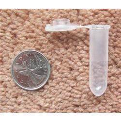25 Nano Geocache Containers 2ml, White Plastic Tubes 